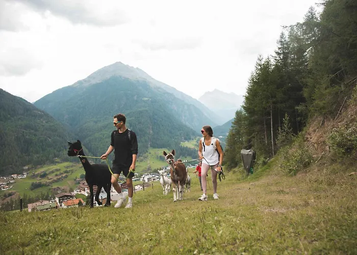 In Oetz Im Oetztal - Oetztal 41510 *