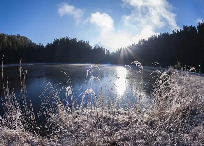דירה In Oetz Im Oetztal - Oetztal 41510 Habichen